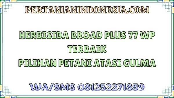 Herbisida Broad Plus 77 WP Terbaik Pilihan Petani Atasi Gulma